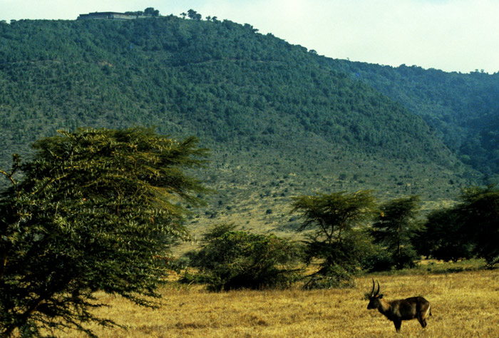 View of NgoroNgoro Lodge from Crater