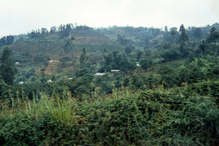 Countryside--Mount Kenya Region