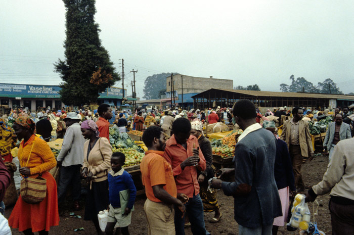Village Market--Mount Kenya Region
