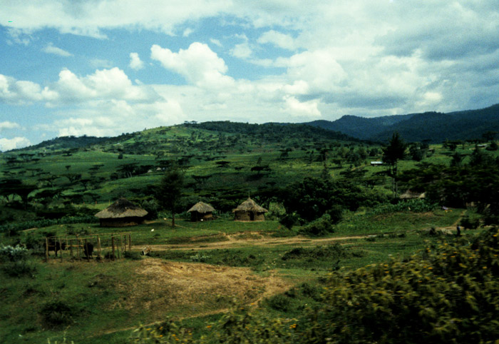 On the Road to Kericho