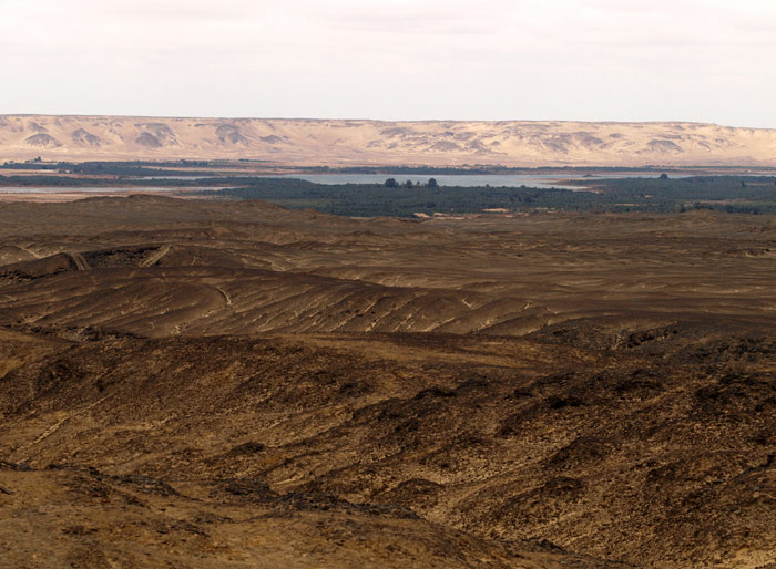 Al-Bahariyah Oasis