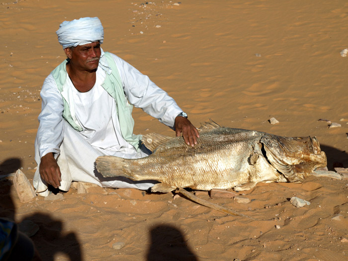 Nile Perch