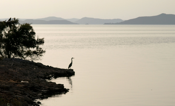 Lake Nasser View