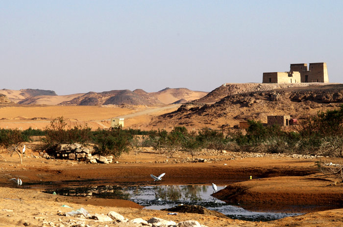 Lake Nasser Shore View